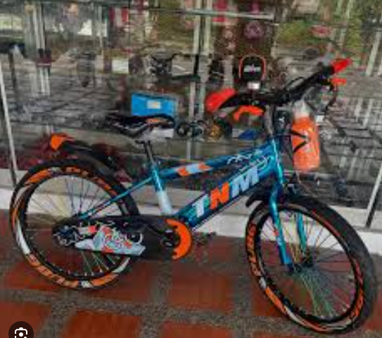 🚲 Bicicleta Infantil Maestro Kids Rin 20 - Con Rueditas y Canasta