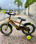 🚲 Bicicleta Infantil Maestro Kids Rin 20 - Con Rueditas y Canasta