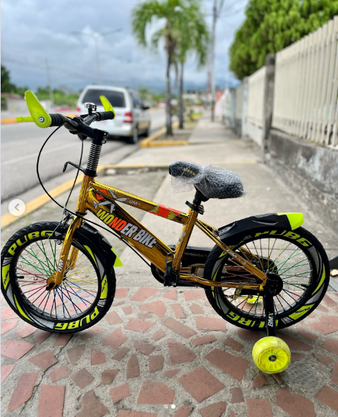 🚲 Bicicleta Infantil Maestro Kids Rin 20 - Con Rueditas y Canasta